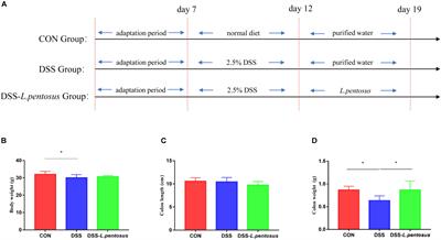 Lactobacillus pentosus Increases the Abundance of Akkermansia and Affects the Serum Metabolome to Alleviate DSS-Induced Colitis in a Murine Model